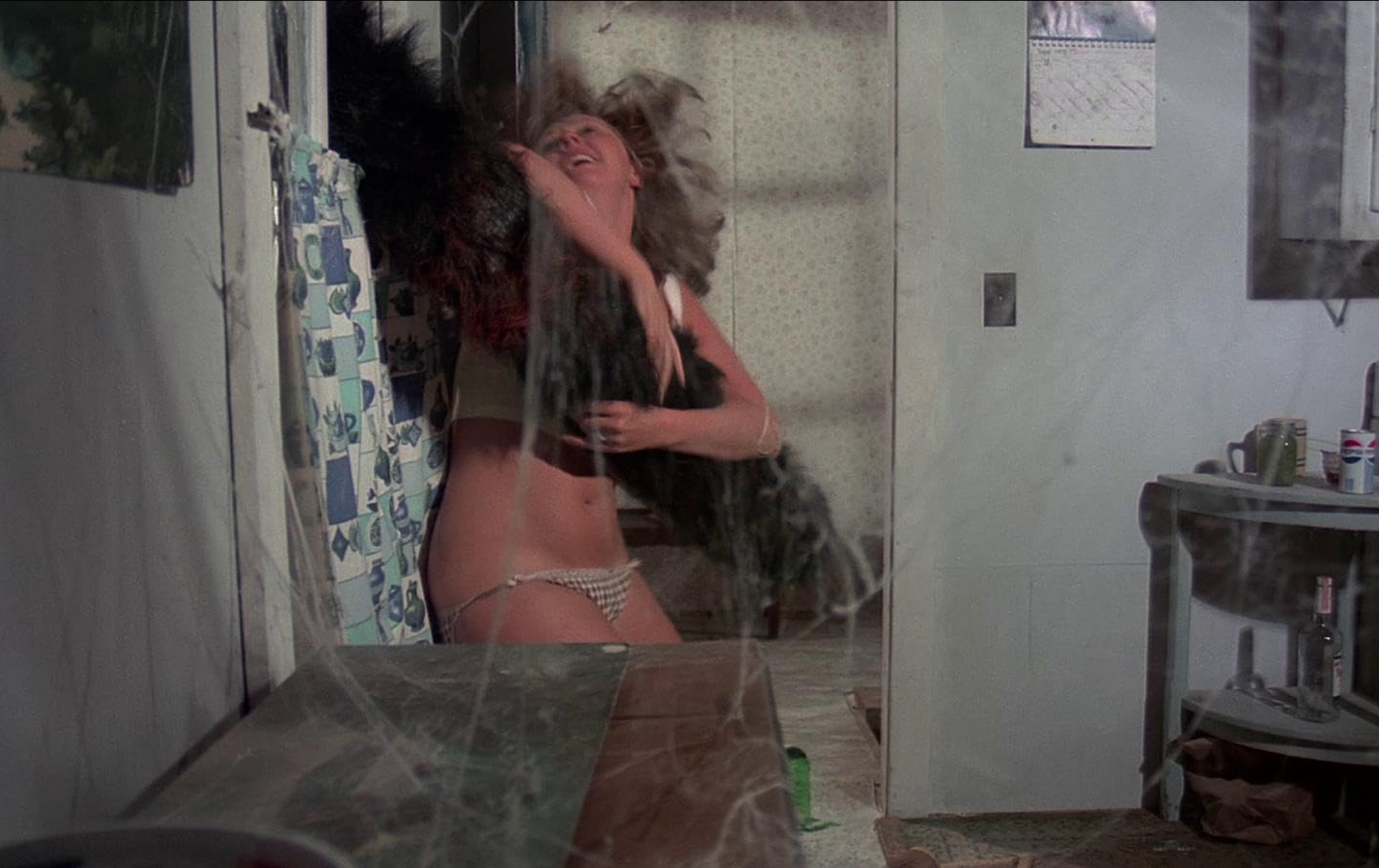 The Giant Spider Invasion