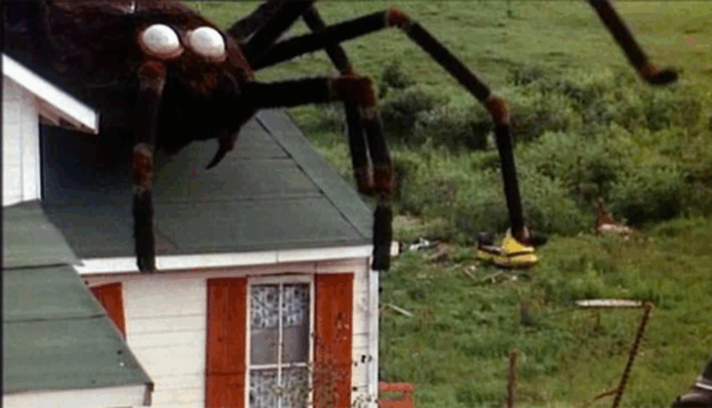 The Giant Spider Invasion